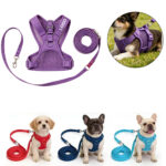 Waterproof PVC Dog Leash Harness Set