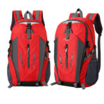 Walker Travel Computer Backpack - Image 4