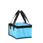 Non Woven Insulated Cooler Bag - Image 2