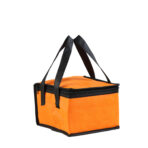 Non Woven Insulated Cooler Bag - Image 4