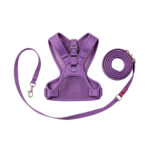 Waterproof PVC Dog Leash Harness Set - Image 4
